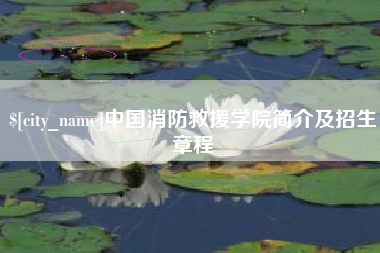 宿迁中国消防救援学院简介及招生章程