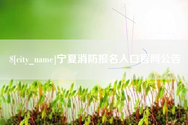 宿迁宁夏消防报名入口官网公告