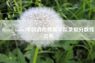 宿迁中国消防救援学院录取分数线公布