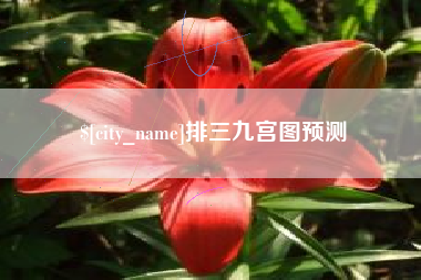 宿迁排三九宫图预测