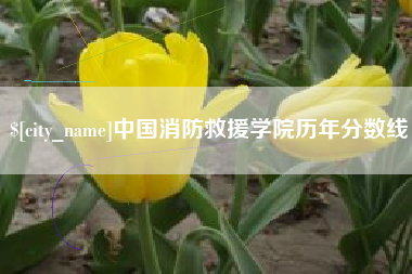 宿迁中国消防救援学院历年分数线