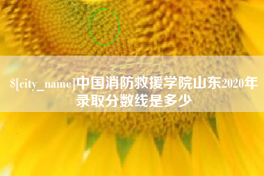 宿迁中国消防救援学院山东2020年录取分数线是多少