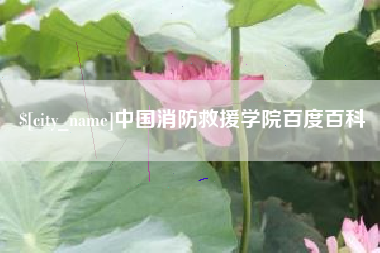 宿迁中国消防救援学院百度百科