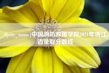 宿迁中国消防救援学院2021年浙江省录取分数线