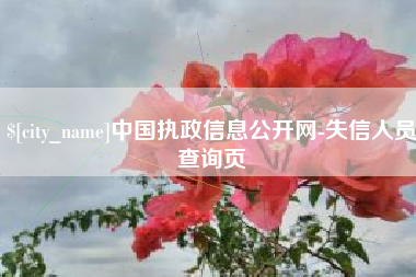 宿迁中国执政信息公开网-失信人员查询页