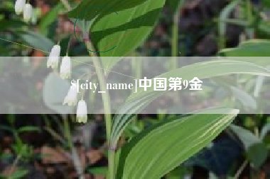 宿迁中国第9金