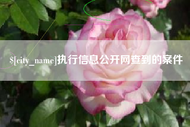 宿迁执行信息公开网查到的案件