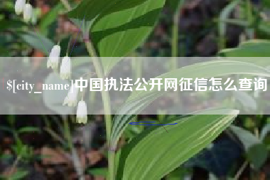宿迁中国执法公开网征信怎么查询