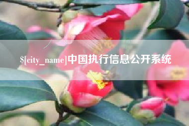 宿迁中国执行信息公开系统