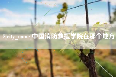 宿迁中国消防救援学院在那个地方