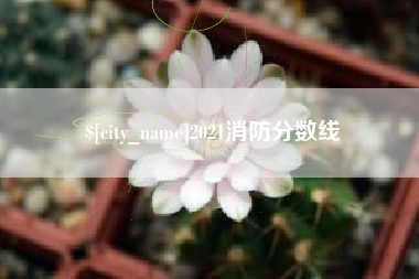 宿迁2021消防分数线