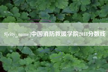 宿迁中国消防救援学院2018分数线