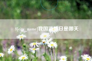 宿迁我国消防日是哪天