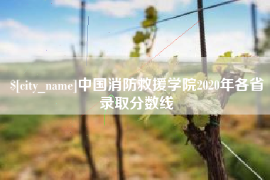 宿迁中国消防救援学院2020年各省录取分数线