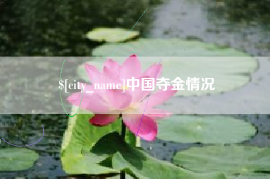 宿迁中国夺金情况