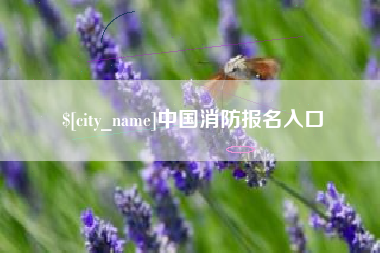 宿迁中国消防报名入口