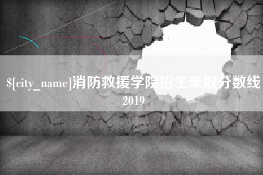 宿迁消防救援学院招生录取分数线2019