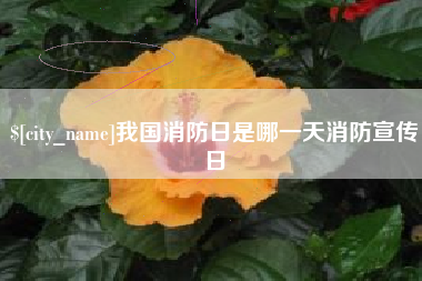 宿迁我国消防日是哪一天消防宣传日