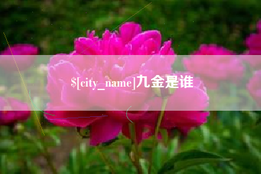 宿迁九金是谁