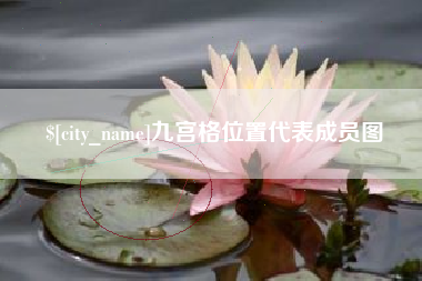 宿迁九宫格位置代表成员图