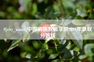 宿迁中国消防救援学院2019年录取分数线