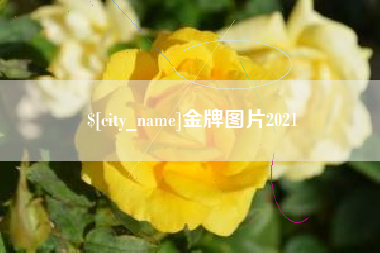宿迁金牌图片2021