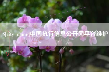 宿迁中国执行信息公开网平台维护