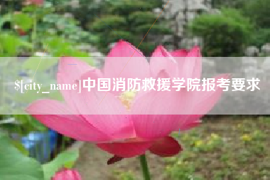 宿迁中国消防救援学院报考要求