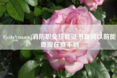 宿迁消防职业技能证书查询以前能查现在查不到