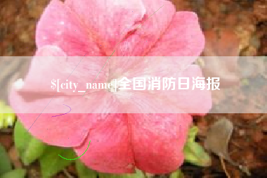 宿迁全国消防日海报