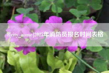 宿迁2025年消防员报名时间表格