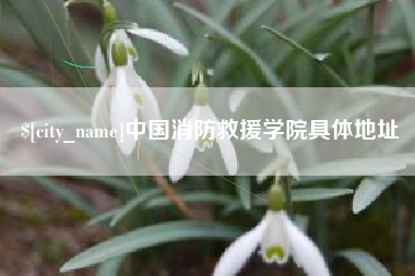 宿迁中国消防救援学院具体地址