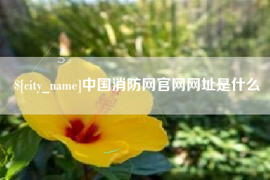 宿迁中国消防网官网网址是什么