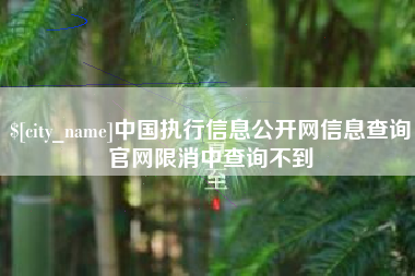 宿迁中国执行信息公开网信息查询官网限消中查询不到