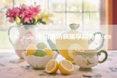 宿迁中国消防救援学院分数2020