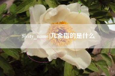 宿迁九金指的是什么