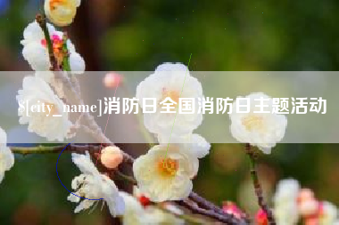 宿迁消防日全国消防日主题活动