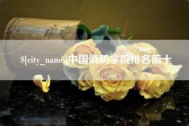 宿迁中国消防学院排名前十