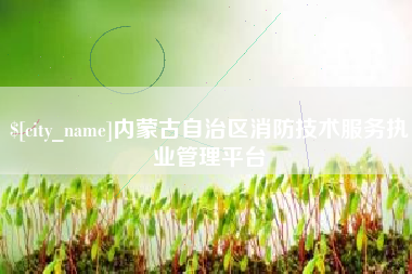 宿迁内蒙古自治区消防技术服务执业管理平台