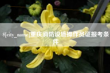 宿迁重庆消防设施操作员证报考条件