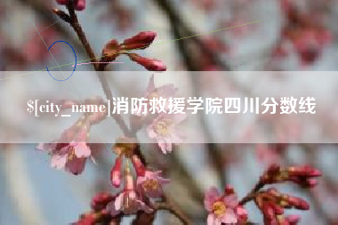 宿迁消防救援学院四川分数线