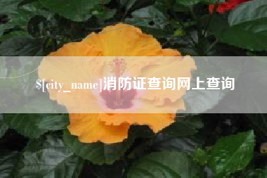 宿迁消防证查询网上查询
