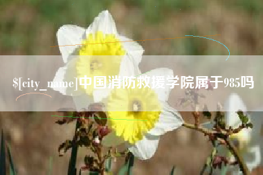 宿迁中国消防救援学院属于985吗