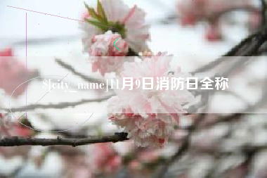 宿迁11月9日消防日全称