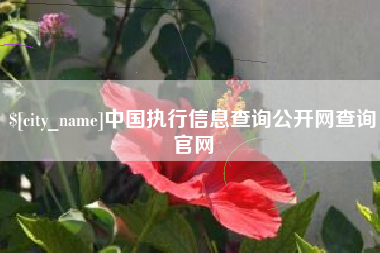 宿迁中国执行信息查询公开网查询官网