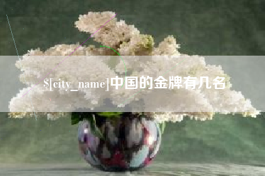 宿迁中国的金牌有几名