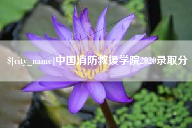 宿迁中国消防救援学院2020录取分