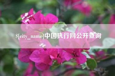 宿迁中国执行网公开查询