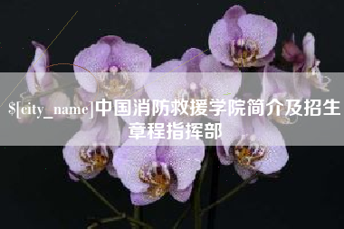 宿迁中国消防救援学院简介及招生章程指挥部