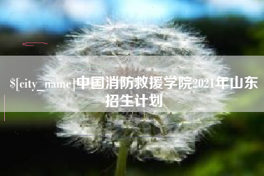 宿迁中国消防救援学院2021年山东招生计划